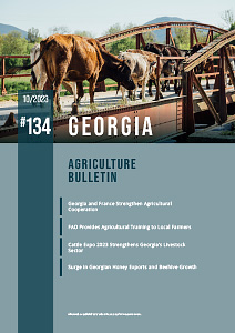 Georgia #134