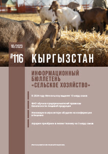 Кыргызстан №116