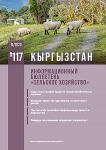 Кыргызстан №117