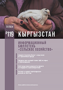 Кыргызстан №119